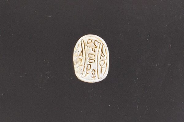 スカラベの腹面