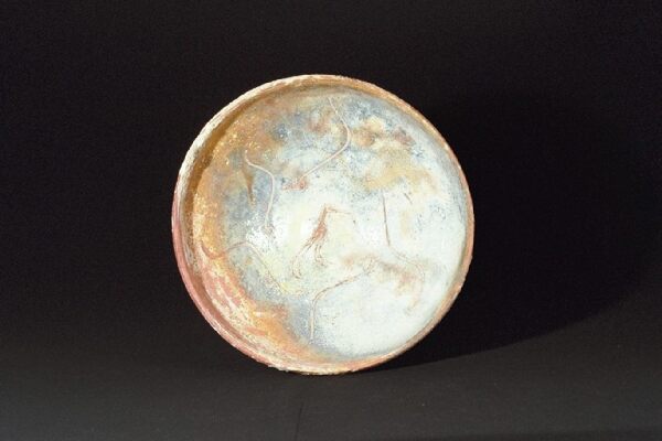 皿（真上から）  