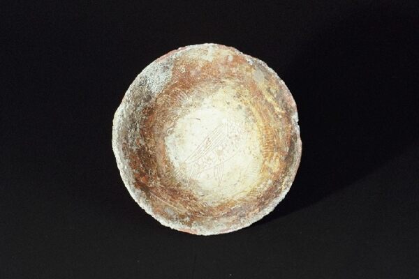 鉢（真上から）  