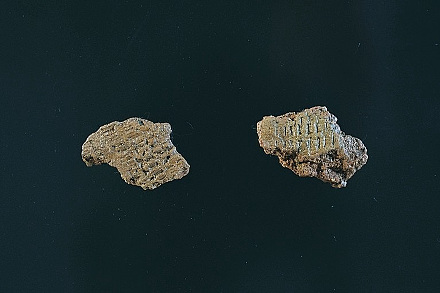 押型文土器　縄文時代早期　江ノ島植物園内遺跡