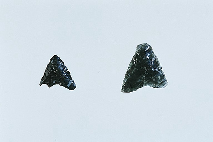 石鏃　縄文時代早期　江ノ島植物園内遺跡