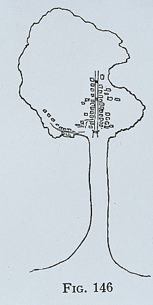 江の島の略図