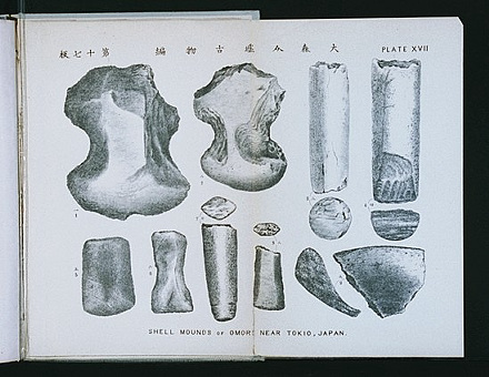 大森貝塚出土土器の図版“Shell Mounds of Omori”，PlateⅩⅤⅡ