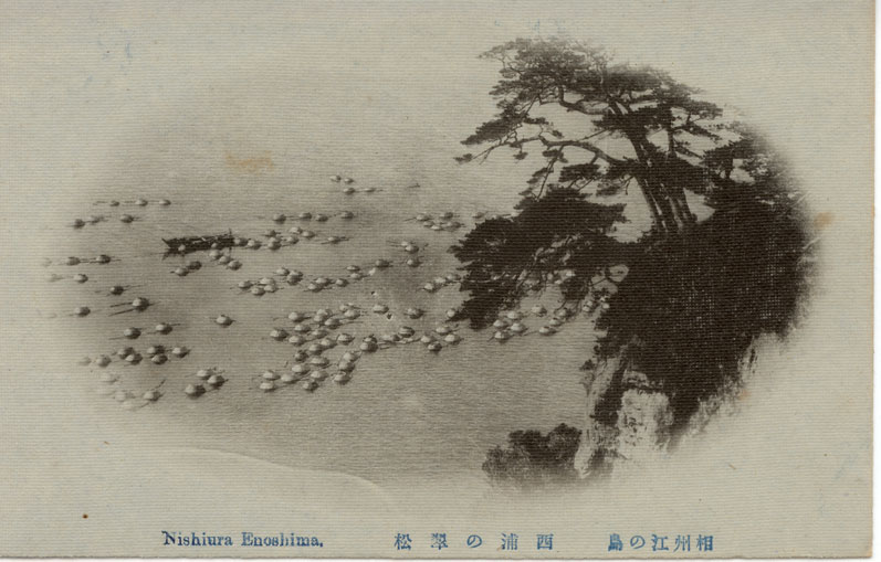 相州江の島　西浦の翠松