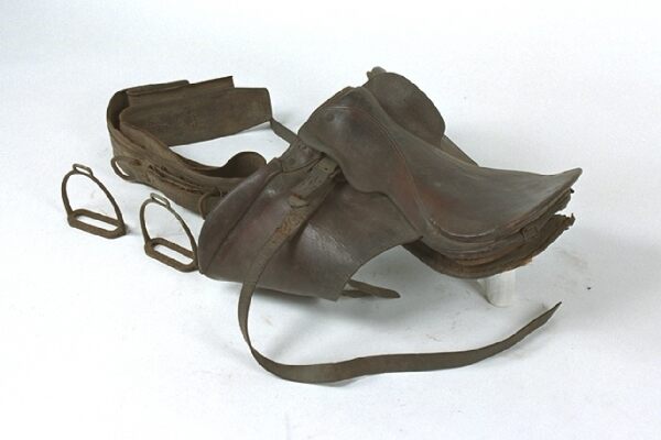 やや後ろから見る