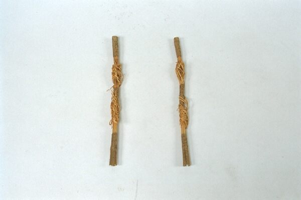 反対側から見る