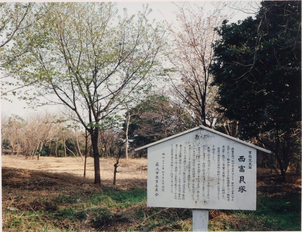 西富貝塚の近景